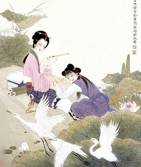 寤寐求之什么意思