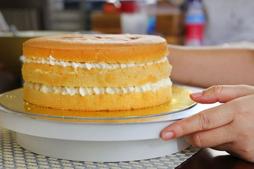 正是河豚欲上时上一句怎么读，正是河豚欲上时的上一句