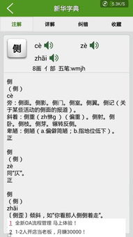 侧可以组什么词语