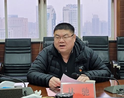 林驰电子有限公司，林骁纪禾沈晓歌