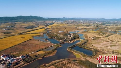 屈家岭工委书记级别