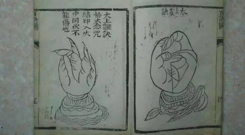 道教的道指。怎么掐诀?