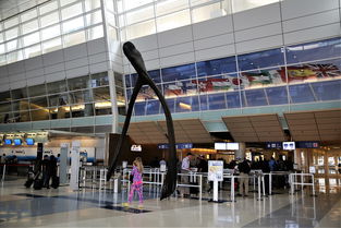 美国达拉斯有几个机场