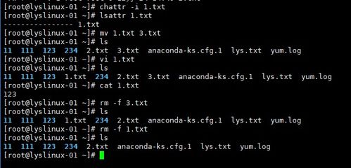 chattr怎么读，chattr -i