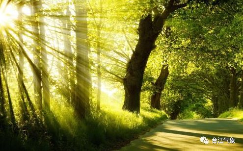 阳光明媚的近义词有哪些及造句