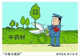 不成材便成仁是什么意思解释，不成才但要学会做人