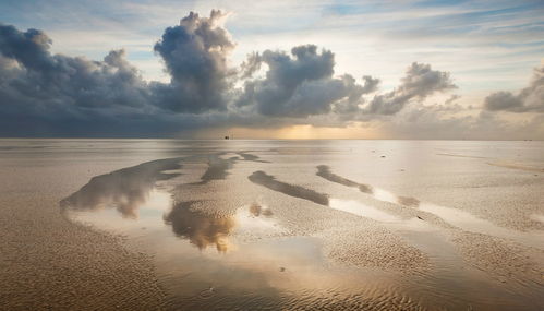 傍晚造句子一年级，傍晚造句一年级简单的