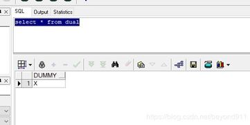 DUAL中文什么意思
