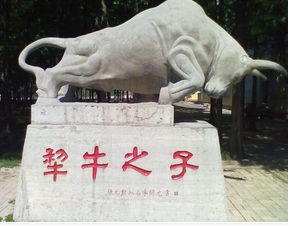 犁牛之子的意思，犁牛之子锌且角