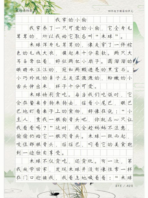 我的动物朋友四年级作文300字
