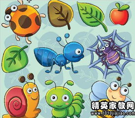 昆虫记读后感800字初中，昆虫记读后感800字作文