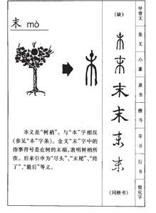 未的意思，末世的意思