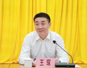 王琛是哪里的?泰胜风能职工监事