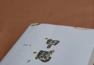 摇晃的拼音怎么读音写，晃的拼音