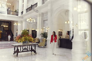 莱佛士大学在中国认可吗，莱佛士国际学校