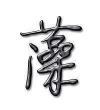 藻组词两个字，薄组词拼音