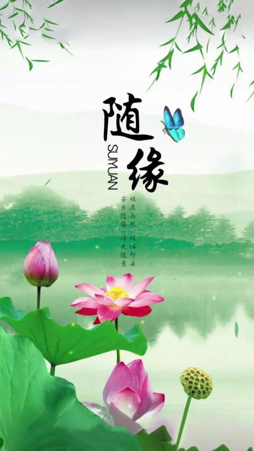 淡泊明志,宁静致远。是什么意思?