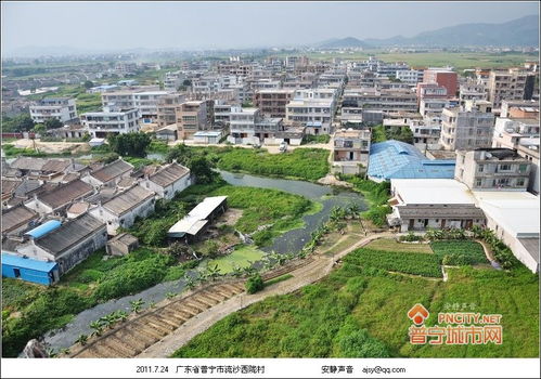 西陇村属于哪里