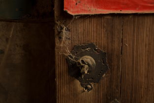 瓦噶哒，瓦嘎斯