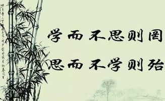 学而不思则罔,思而不学则殆罔和殆的意思，罔和殆的意思拼音