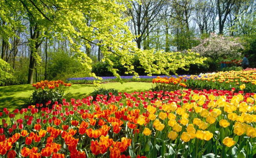 春意盎然造句10字，春意盎然造句简短