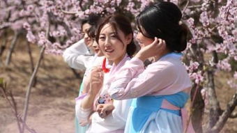 佳偶的反义词_佳偶的近义词_佳偶的词语解释