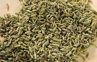 茴香是不是八角