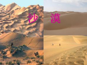 登上地球之巅的线索，登上地球之巅下一句造句