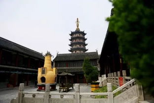 白蒲太辛能治肺结节吗，白蒲甘片消结节吗