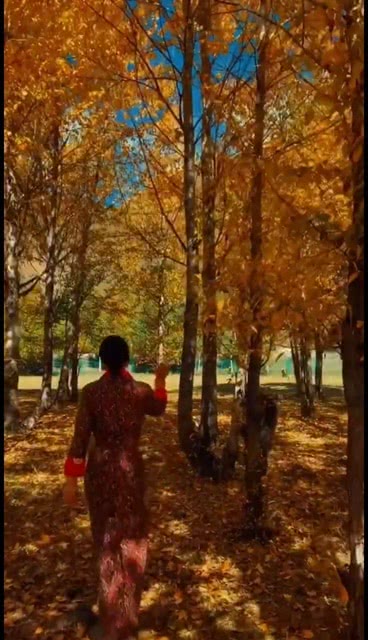 那个秋天再也看不到爸爸的脸，那个秋天真美800字作文写人