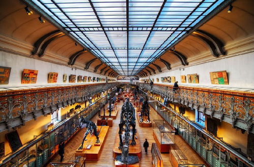 科学博物馆用英语怎么读