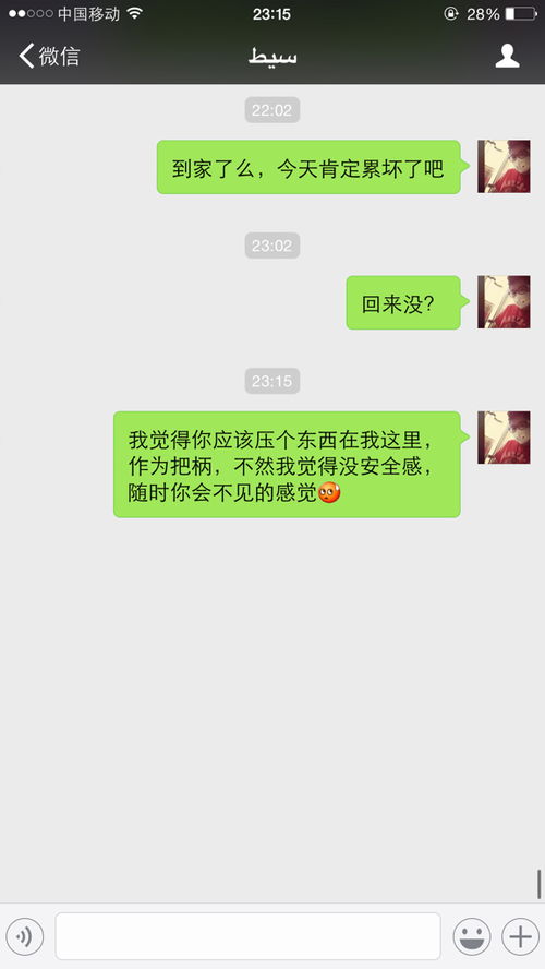 把柄是什么意思?