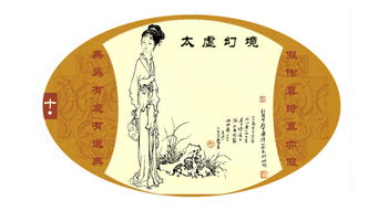 假作真时真亦假无为有处有还无解析，假作真时真亦假无为有处有还无拼音