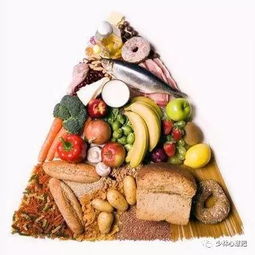 饮食起居有规律的句子，皇上的饮食起居