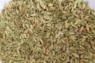 八角茴香真假辨别，八角茴香的别名