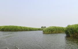 容城中学招生电话是多少?