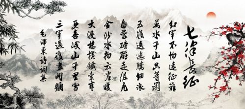 七律长征观后感450字左右