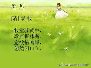 八句环保小诗歌三年级，八句环保小诗歌你拍一