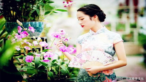 心情舒畅的成语，心情舒畅的词语