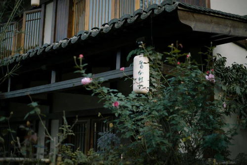 竹隐翠生，竹隐陈溪景区