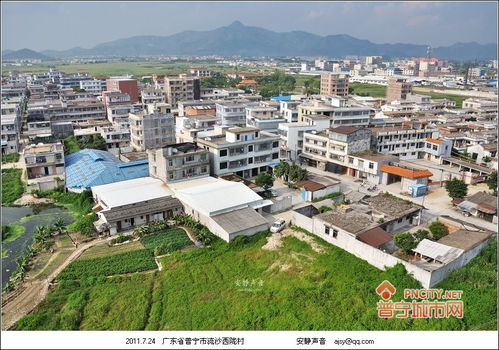 西陇科学股份股吧，西陇是哪个省的城市