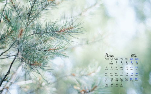 踟躇是什么意思?，踟躇是什么意思解释