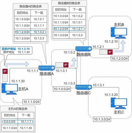 ip地址由什么构成?，ip地址是由 组成的