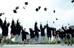 大学生毕业证查询