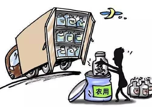 包庇隐瞒罪判多久，包庇诈骗犯需要承担什么责任