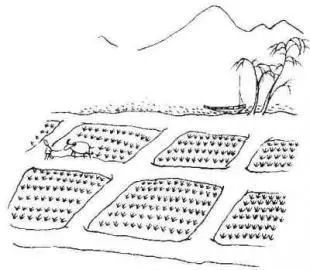 悯农插画简笔画-古诗悯农一图片怎么画