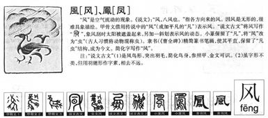 凤字拼音，风字拼音占格