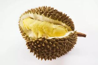 榴莲英语怎么读lychee，帮我们选一个榴莲英语