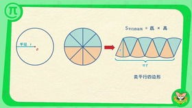 正反比例的概念及公式，正反比例的概念总结