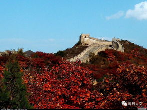 防民之口甚于防川出自，防民之口甚于防川是写哪个君王